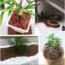 Casca de Pinus Natural P ou M Decoração Jardinagem Semi Polida 3L ate 40Litros Gold Plant
