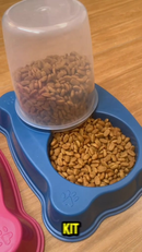 Kit 2 Comedouro/Bebedouro Dupla Função Dispenser Dosador 1 kg Ração/1,5 Litros Água Cães E Gatos