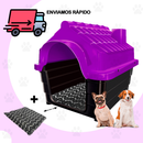 Casinha Pet Cachorro N2 + Caminha Pequenas Raças Casa Cães Gatos Conforto