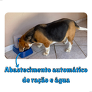 Kit Comedouro/Bebedouro Dupla Função Dispenser Automático 1 Kg Ração/1,5 Litros Água Cães e Gatos