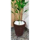 Kit 2x Pedra Dolomita Branca Seixo Decorativa para Vasos e Jardins Ornamentais - 1,8 kg