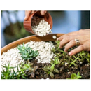 3 Kg - Pedra Branca Para Decorações, jardins e vasos em geral