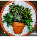 3 Kg - Pedra Branca Para Decorações, jardins e vasos em geral