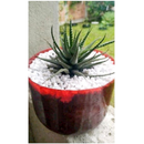 3 Kg - Pedra Branca Para Decorações, jardins e vasos em geral