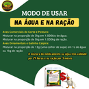 Imuno Aves 400g 5unid. Homeopático para Tratar Infecção Aves Galinhas