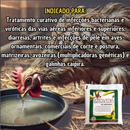 Imuno Aves 400g 5unid. Homeopático para Tratar Infecção Aves Galinhas