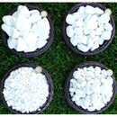 Kit 2x Pedra Dolomita Branca Seixo Decorativa para Vasos e Jardins Ornamentais - 1,8 kg