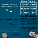 coleira com nome kit personalizado peitoral com guia cachorro