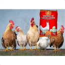 FARINHA DE CÁLCIO CALBOS 1 KG AVES OVOS E ENGORDA