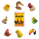 Suplemento Vitamínco Aminoácido E Mineral Para Frango Galinha Aves Averin 1Kg Tratamento Coccidiose