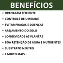 Casca De Pinus Polida 20 Litros P ou M Natural Jardinagem Decoração Saco 3, 10, 20 litros