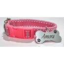 Coleira Para cães e Gatos Com Plaquinha de Identificação GRAVADA!!!