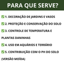Pedra Seixo Branco de Jardim Dolomita 05 kg - PREÇO DE FABRICA - Para decoração de vasos e jardins