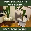 Pedra Seixo Branco de Jardim Dolomita 05 kg - PREÇO DE FABRICA - Para decoração de vasos e jardins