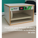 Chocadeira Automática 50 Ovos de Galinha + Ovoscópio - Eclo