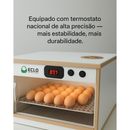 Chocadeira Automática 50 Ovos de Galinha + Ovoscópio - Eclo