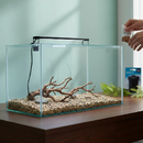 Aquário N4 Retangular 13 Litros Beta 35x17x22cm beteira vidro para Peixes ornamental plantas natural ou aarfiticial