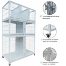 Canil Modular Pet Shop e Veterinária com Opções de Módulos