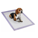 Kit 2 Pacotes 60 Uni Tapete Higienico 80x60 cm Good Pad Para Cães E Gatos Com 60 Unidades