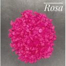 Aquário Completo Beteira - Aquário + Luminária + Decorações + Aquecedor + Ração e Anticloro