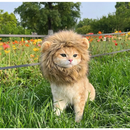 Peruca De Leão / Funny Chapéus para Pet de estimação / Vestir Roupas Fofas / Acessórios De Festa