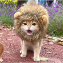 Peruca De Leão / Funny Chapéus para Pet de estimação / Vestir Roupas Fofas / Acessórios De Festa