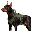 Colete Peitoral Tático Para Pet Cães Cachorro Treinamento Passeio Preto Verde Marrom