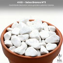Pedra Para Vasos de Plantas Seixo Branco Dolomita Natural Premium Decoração Canteiros e Jardins