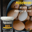 Poderoso Aves Núcleo Mineral Vitamínico P Todas As Fases 1kg