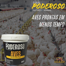 Poderoso Aves Núcleo Mineral Vitamínico P Todas As Fases 1kg