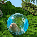 Bola de Exercício Transparente 18cm para Hamster - Pet Caixas