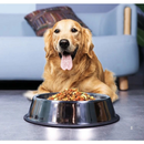 Comedouro e Bebedouro Inox Antiderrapante Para Cães e Gatos - Resistente e Ideal Para Pets de Todos os Potes - WYL