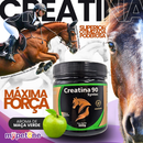 Creatina 90 Syntec Suplemento Para Cavalo - 500g