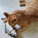 Brinquedo Simulado De Gato De Peixe , Interativo De Dentição Para Gatinhos , Suprimentos Não Elétricos Animais De Estima
